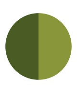 HELAN I Colori di Helan Bio Matitone Duo Occhi Doppia Punta Verde muschio-Giada
