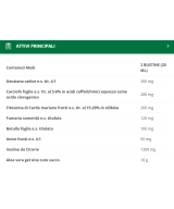 BIOS LINE PhytoDepura Forte bustine concentrate