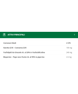 BIOS LINE Principium Q10 Max