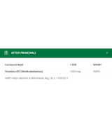 BIOS LINE Principium B12 1000 Sublinguale