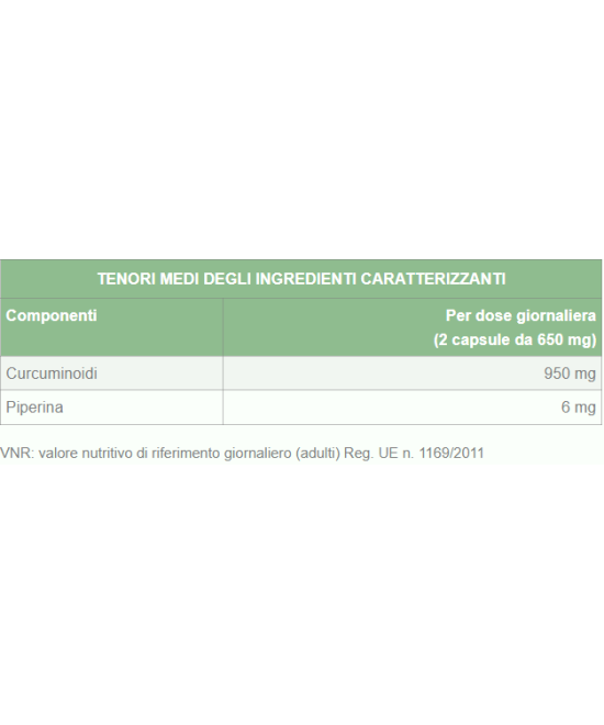 NATURETICA Curcuma MAX