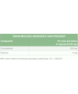 NATURETICA Curcuma MAX