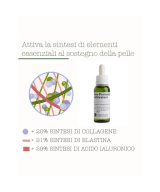 LA SAPONARIA Attivi Puri Fermentati Complex