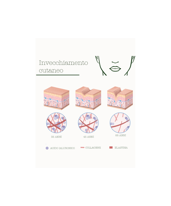LA SAPONARIA Attivi Puri Fermentati Complex