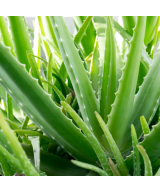 NATURETICA Aloe Vera EXTRA