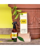 HELAN Spicchi di Agrumi Spray per Ambiente