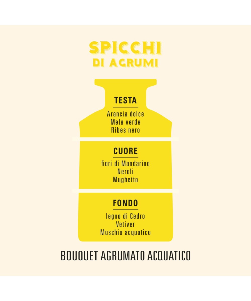 HELAN Spicchi di Agrumi Diffusore per Ambienti