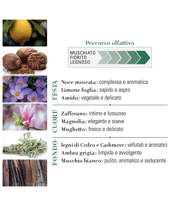 HELAN Puro Muschio Eau de Parfum 50 mL