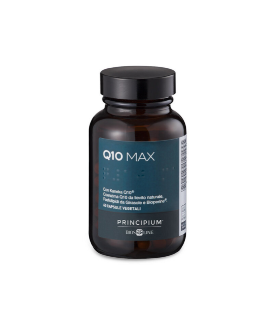 BIOS LINE Principium Q10 Max